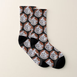 Cute Pet Cat Black Photo Socks