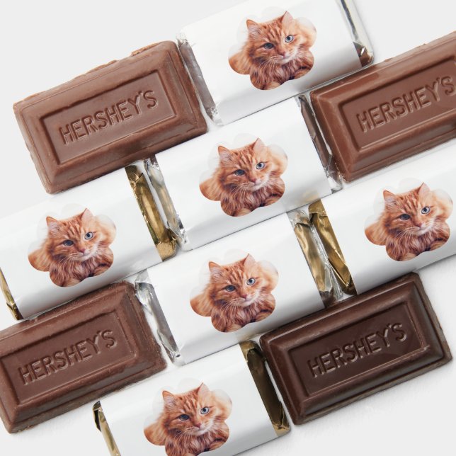 Cute Pet Cat Photo Birthday Celebration Hershey's Miniatures (Assorted)