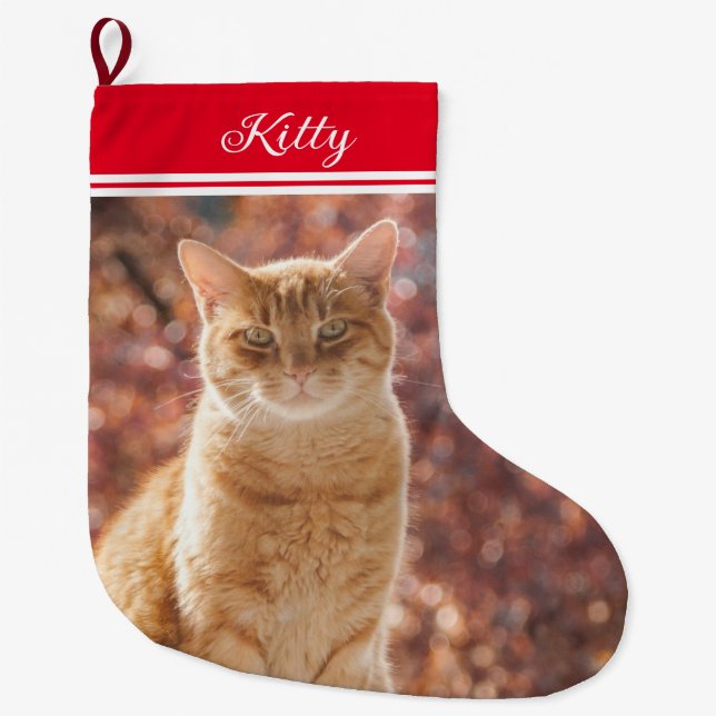 cute Pet Christmas Cat Photo Small  Large Christmas Stocking (Front)