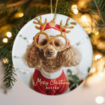 Cute Pet Christmas Photo Naughty Dog Funny Puppy Ceramic Ornament by EpicSparkle at Zazzle