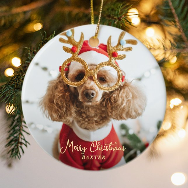 Cute Pet Christmas Photo Naughty Dog Funny Puppy Ceramic Ornament (Cute Pet Christmas Photo Naughty Dog Funny Puppy Ceramic Ornament)