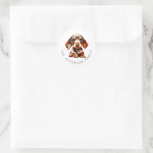 Cute Pet Dachshund Custom Family Name Classic Round Sticker (Bag)