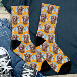 Cute Pet Dog Orange Photo Socks<br><div class="desc">Surprise the dog lover whether its a birthday,  Mothers day or Christmas with these super cute pet photo all over print socks. They'll be a favorite of all dog lovers.  COPYRIGHT © 2020 Judy Burrows,  Black Dog Art - All Rights Reserved</div>