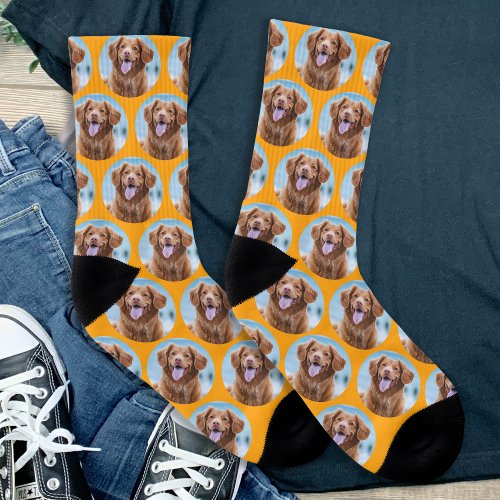 Cute Pet Dog Orange Photo Socks