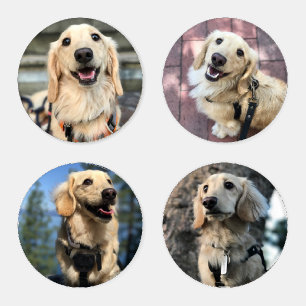Cute Pet Dog Photo Coaster Set