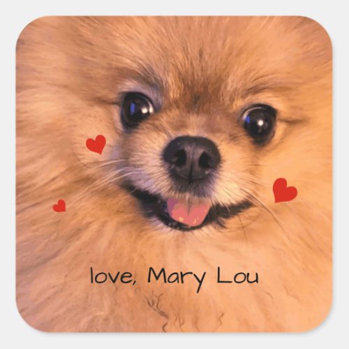 Cute Pet Dog Pomeranian Childrens Valentine Square Sticker