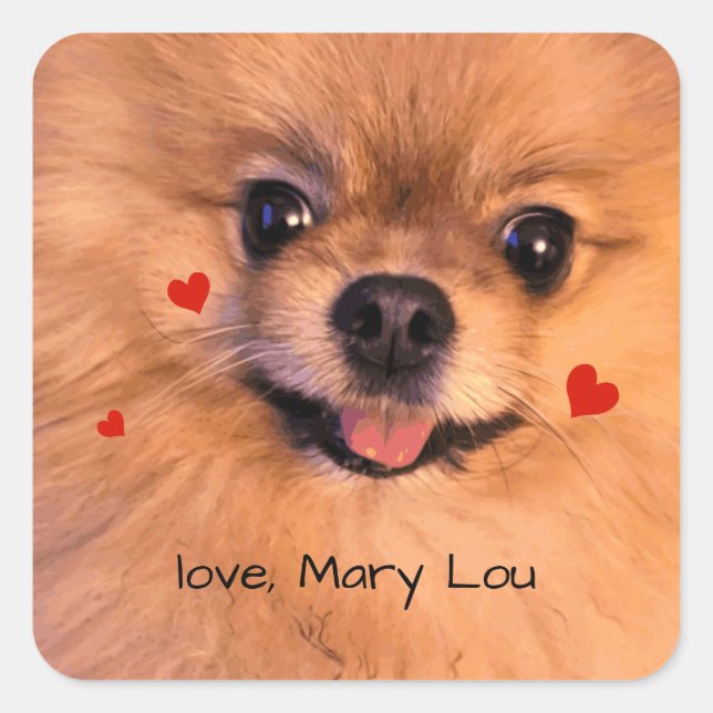 Cute Pet Dog Pomeranian Children's Valentine Square Sticker (Front)