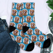 Cute Pet Dog Teal Blue Photo Socks at Zazzle