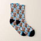Cute Pet Dog Teal Blue Photo