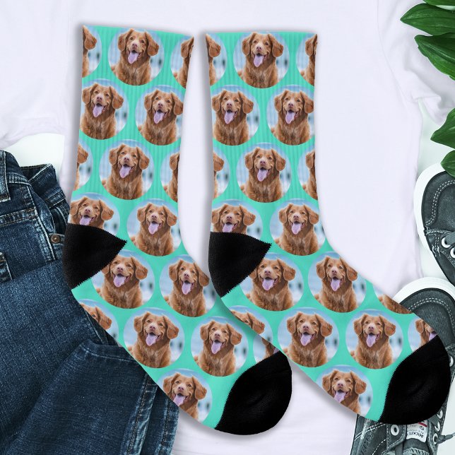 Cute Pet Dog Teal Green Photo Socks (Creator Uploaded)