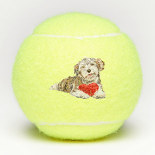 Cute Pet Dog with Heart Gift Tennis Balls
