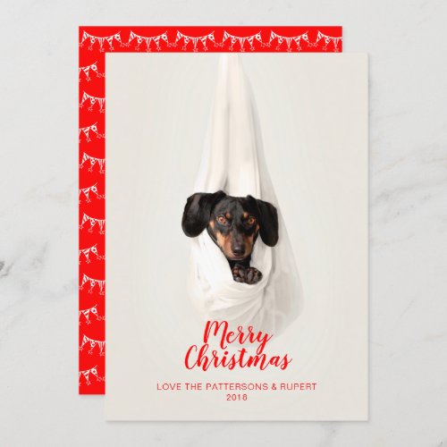 Cute Pet Family Puppy Dog Christmas Photo Holiday Card