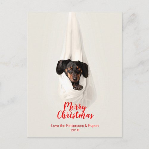Cute Pet Family Puppy Dog Christmas Photo Holiday Postcard