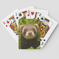 Cute Pet Ferret in the Grass