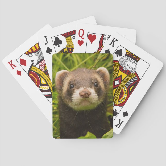 Cute Pet Ferret in the Grass Poker Cards (Back)
