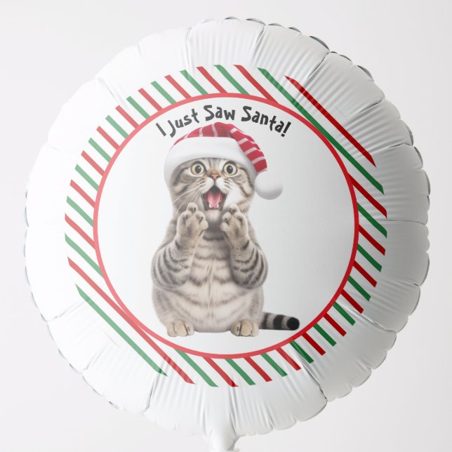 Cute Pet Funny Christmas Cat Balloon (Front)