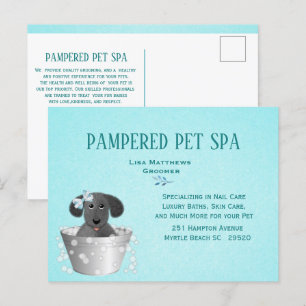 Cute Pet Groomer Budget Marketing Postcard