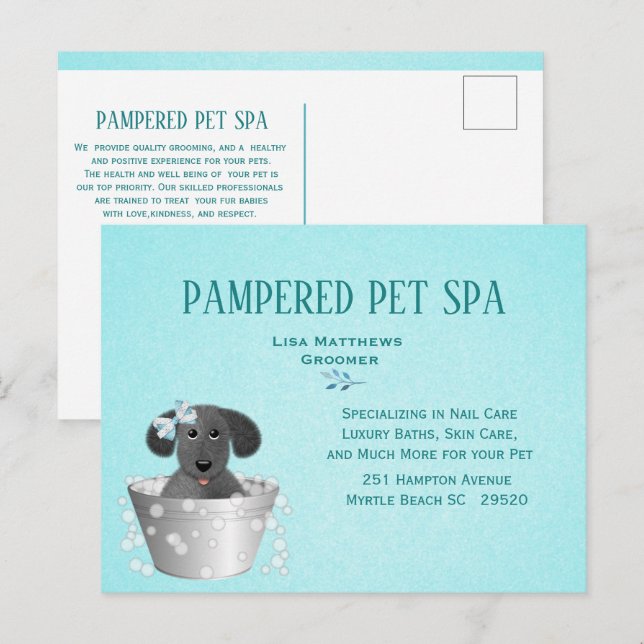 Cute Pet Groomer Budget Marketing  Postcard (Front/Back)