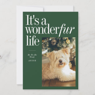 Cute Pet It's A Wonderfur Life Christmas Photo Holiday Card