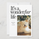Cute Pet It&#39;s A Wonderfur LifeChristmas Photo Holiday Card