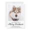 Cute Pet Photo 2026 Calendar Dog Merry Christmas