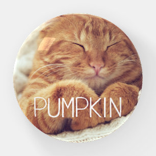 Cute Pet Photo and Name Custom Keepsake Gift Paperweight