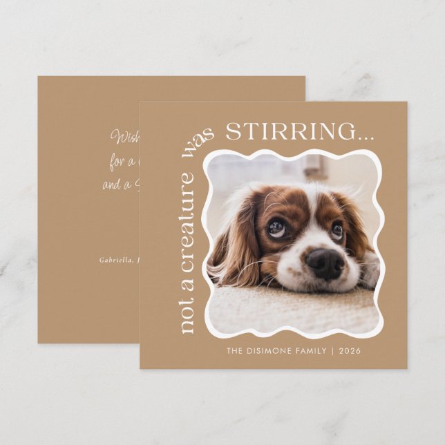Cute Pet Photo Christmas Holiday Card (Front/Back)