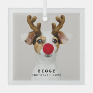 Cute Pet Photo Christmas Ornament