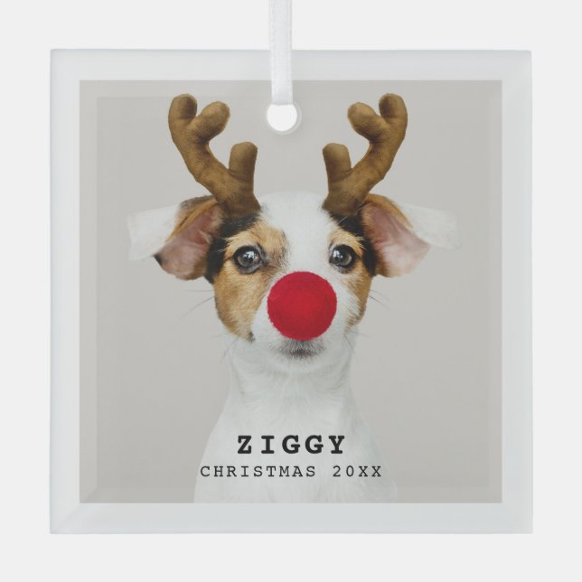 Cute Pet Photo Christmas Ornament (Front)