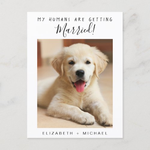 Cute Pet Photo Engagement Announcement Postcard