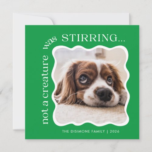 Cute Pet Photo Green Christmas Holiday Card