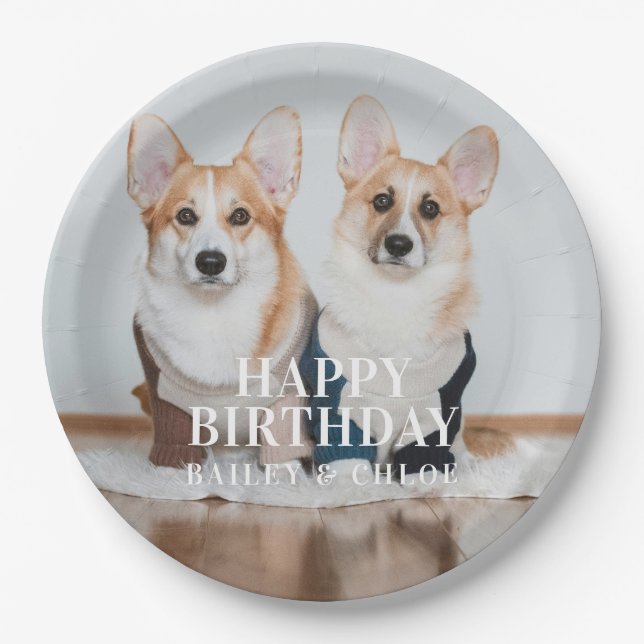 Cute Pet Photo Happy Birthday Party Paper Plates (Front)
