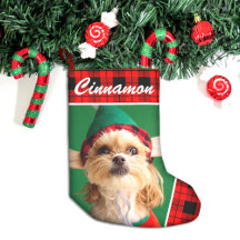 Cute Pet Photo Name Plaid