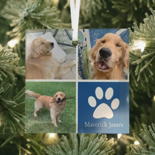 Cute Pet Photo Personalized Dog Owner Christmas Glass Ornament