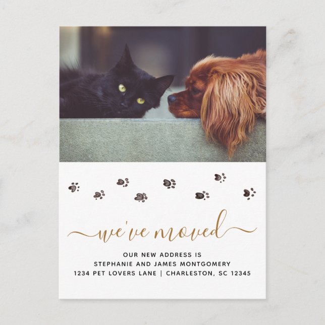 Cute Pet Photo Personalized Moving Announcement Postcard (Front)