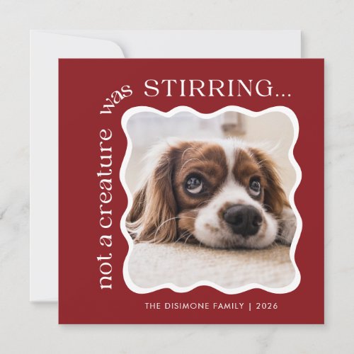 Cute Pet Photo Red Christmas Holiday Card