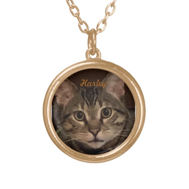 Cute pet photo with name gold plated necklace (Front)