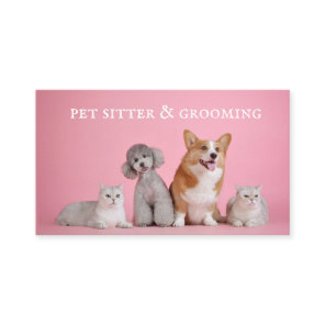 Cute Pet Sitter Dog Grooming Business Card