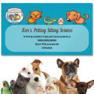 Cute Pet Sitting Animal Care Dog Walking Business Card at Zazzle