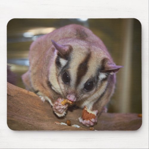 Cute Pet Sugar Glider Eating Mouse Pad