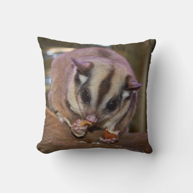 Cute Pet Sugar Glider Eating Throw Pillow (Front)