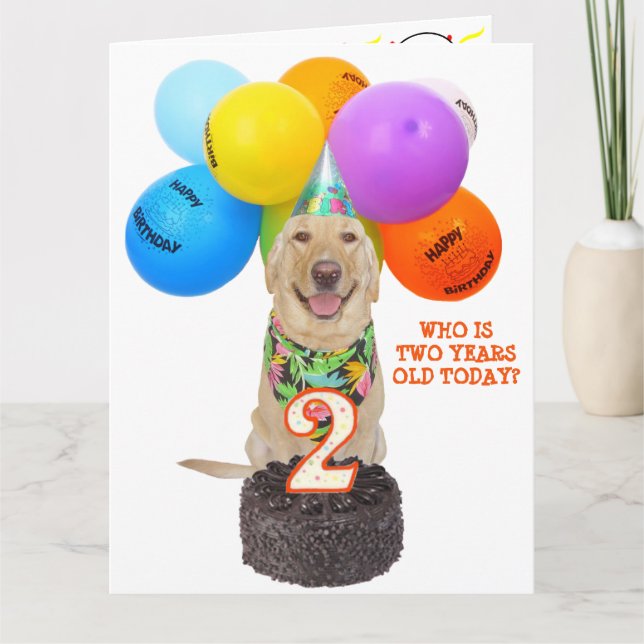 Cute Pet Two Year Birthday Card (Front)