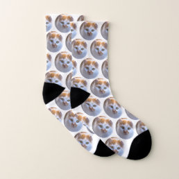 Cute Pet White Cat Photo Socks