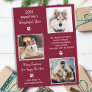 Cute Pet Year in Review Custom Dog Photo Collage H Postcard