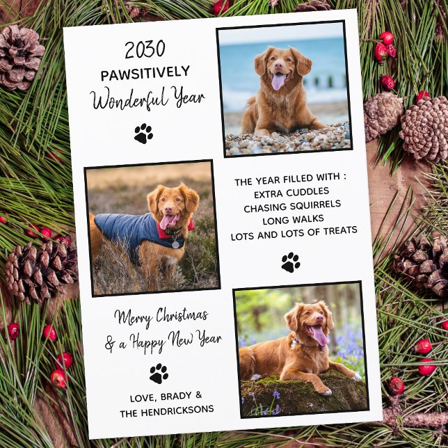 Cute Pet Year in Review Dog Lover Photo Collage Holiday Card (Creator Uploaded)