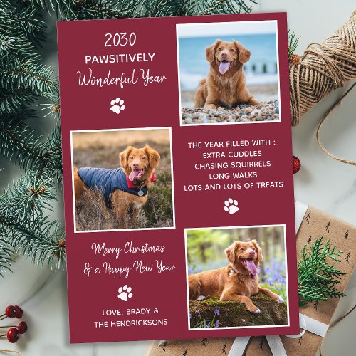 Cute Pet Year in Review Red Dog Photo Collage Holiday Card