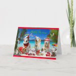 Cute Pets Celebrating Christmas At The Beach Holiday Card at Zazzle