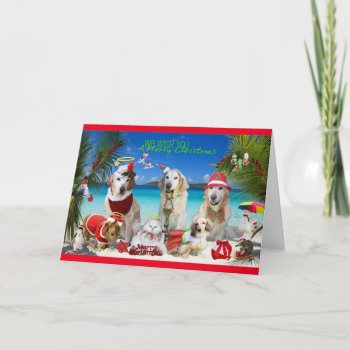 Cute Pets Celebrating Christmas At The Beach Holiday Card by CullyBearDesigns at Zazzle