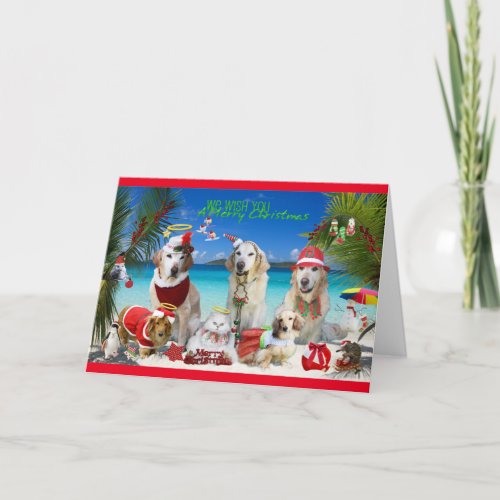 Cute Pets Celebrating Christmas at the Beach Holiday Card