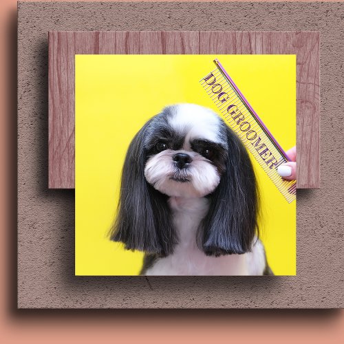 Cute Pets Grooming Care Services Puppy Dogs  Square Business Card